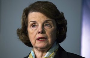 482014dianne-blog480