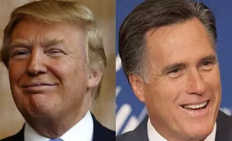 mitt-and-don